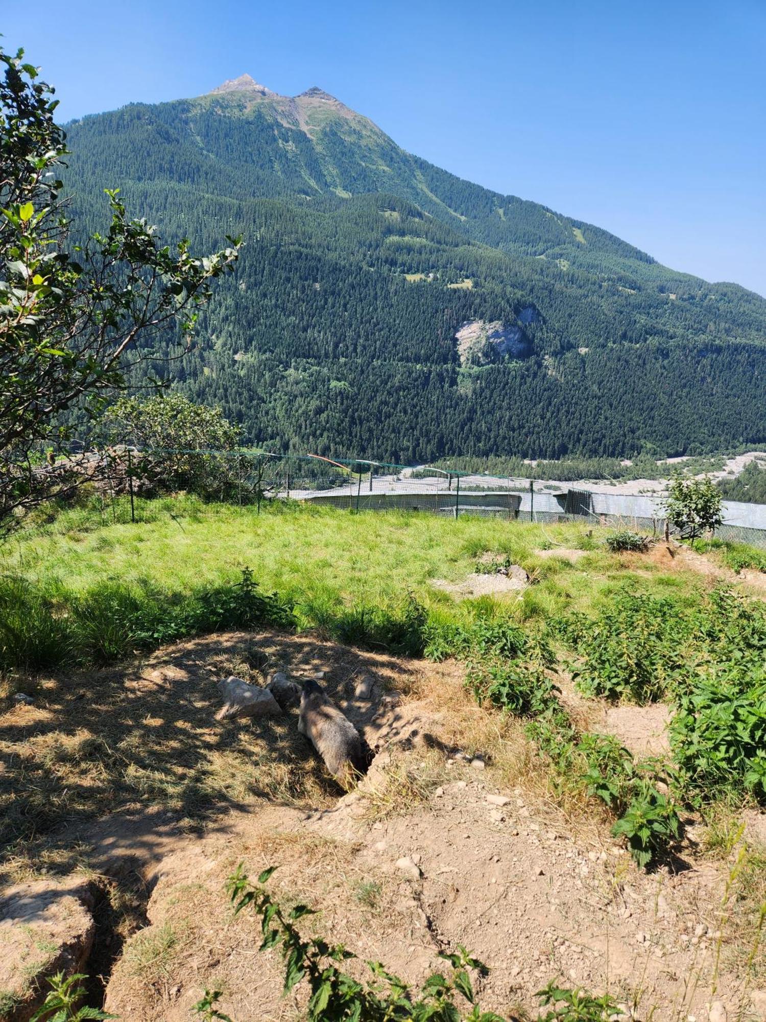 T3 Avec Jardin Proche Village * Saint-Bonnet-en-Champsaur