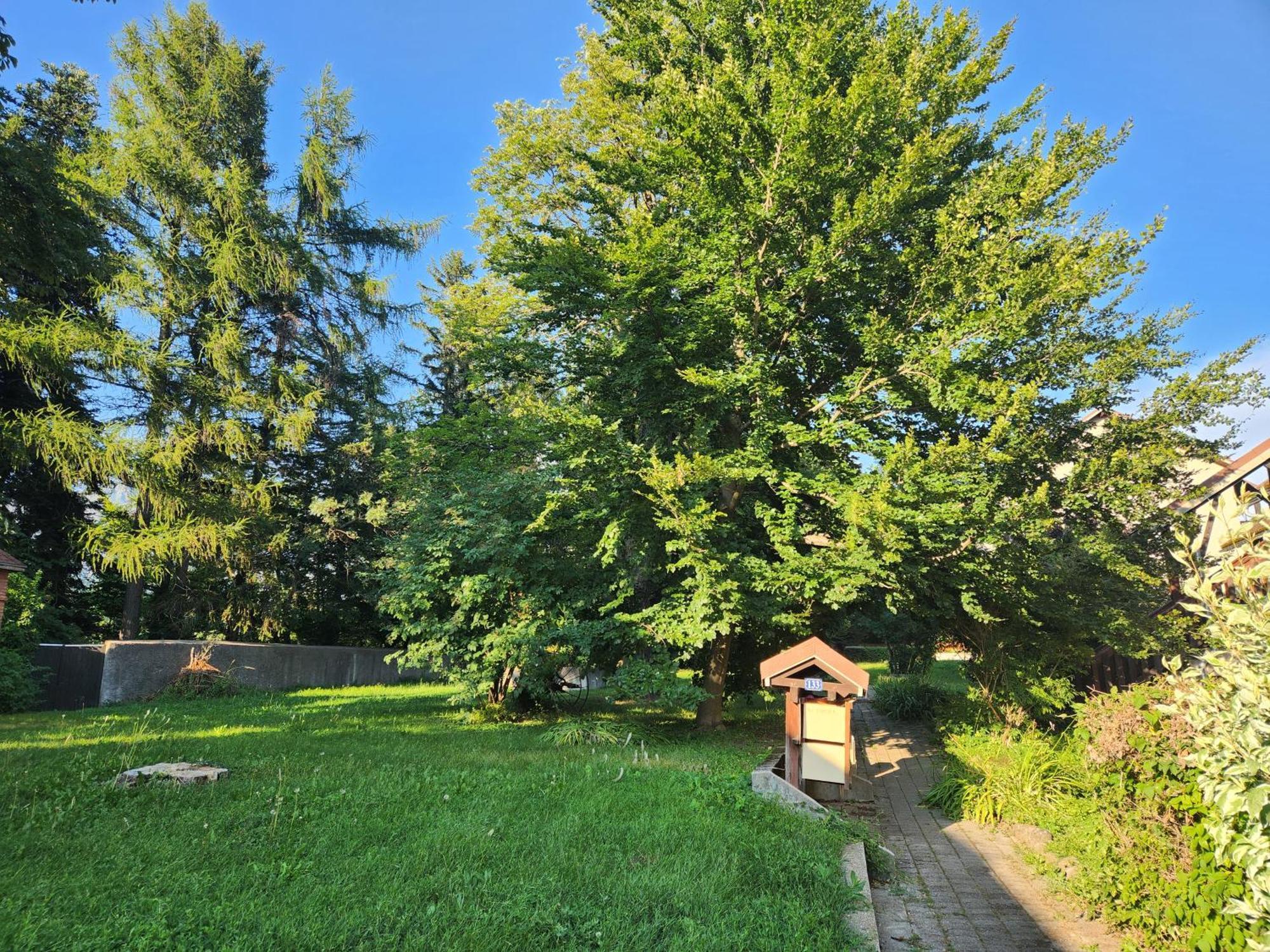 Apartment T3 Avec Jardin Proche Village *